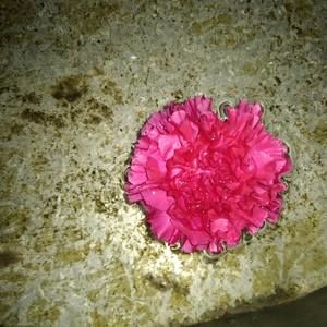 Meet your Posher, Sherrie